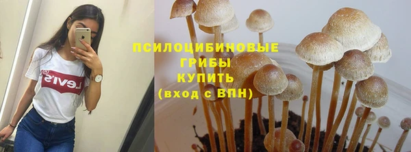 ешки Переславль-Залесский