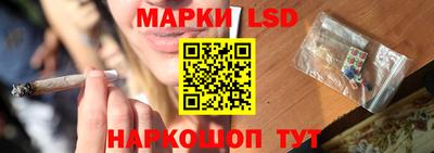 дурь Берёзовский