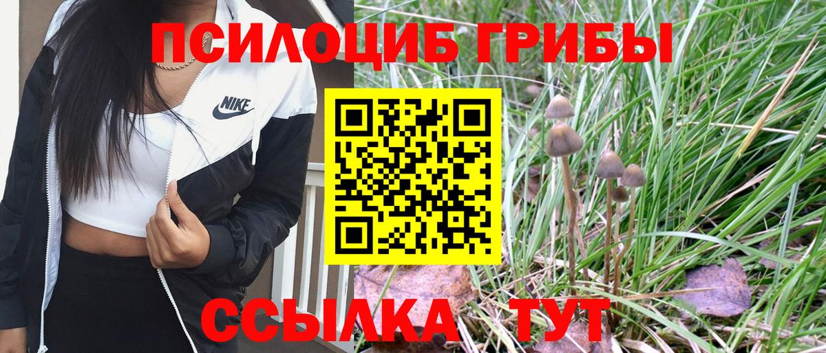 Псилоцибиновые грибы GOLDEN TEACHER Белогорск