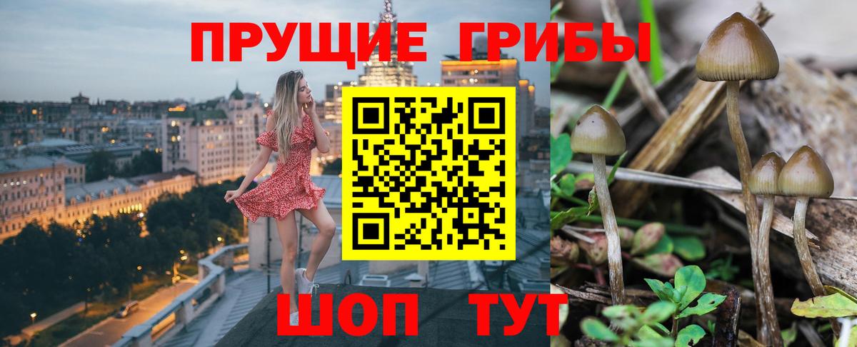Белогорск  Галлюциногенные грибы GOLDEN TEACHER  Галлюциногенные грибы Cubensis  Вход с VPN 